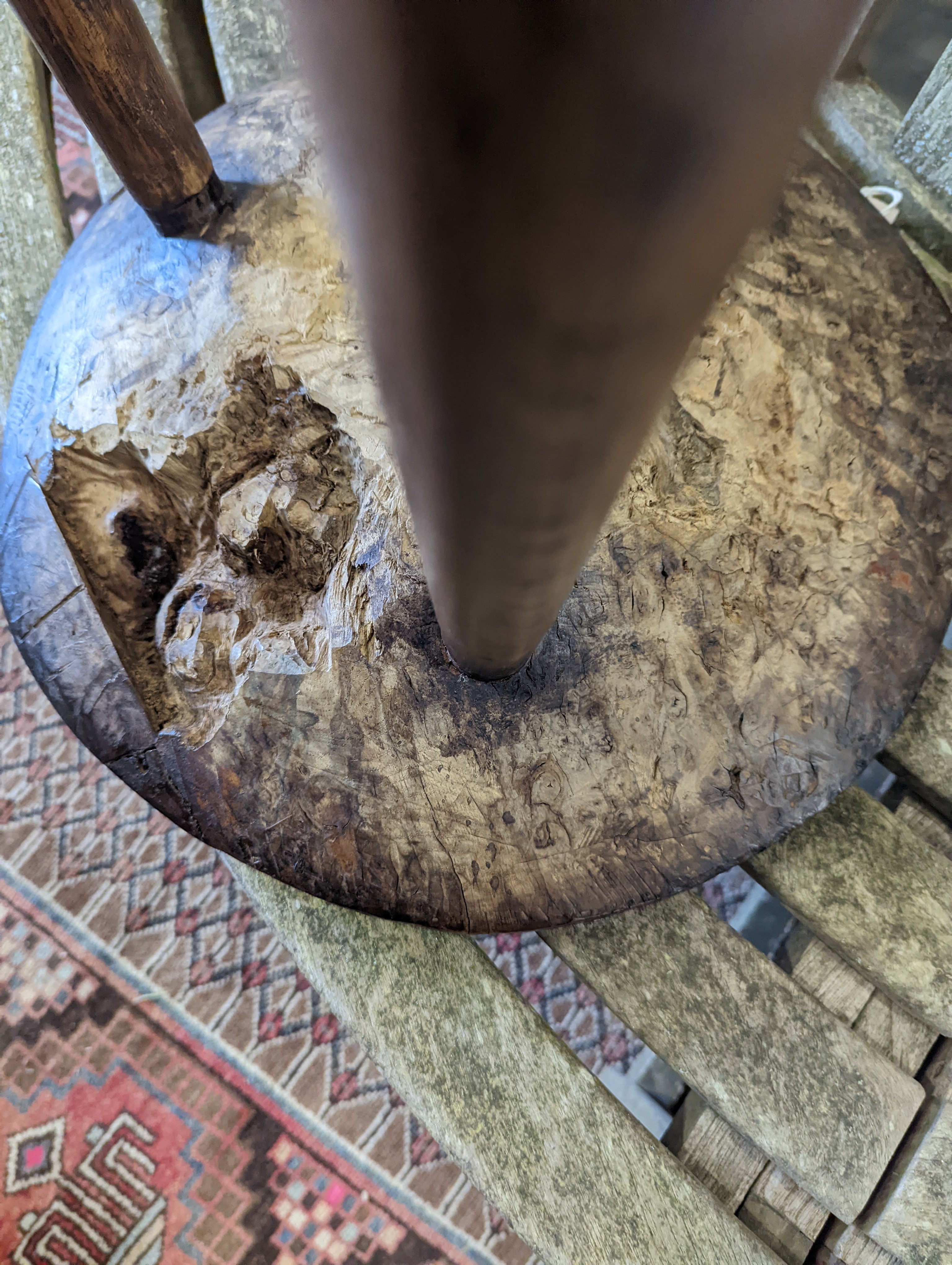 A late 18th / early 19th century circular burr elm and ash cricket table, diameter 60cm, height 62cm